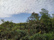 Coraz&oacute;n de Pance te lleva a otra dimensi&oacute;n, como la Navidad
