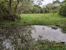 Coraz&oacute;n de Pance te lleva a otra dimensi&oacute;n, como la Navidad