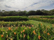 Coraz&oacute;n de Pance te lleva a otra dimensi&oacute;n, como la Navidad