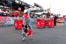 Papi y Mami vinieron al Sals&oacute;dromo a buscar hogar 