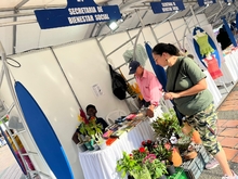 Un gran encuentro con la magia, el brillo y el color de la CaliDiversa