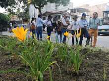 Dagma entrega varios separadores verdes a la ciudad