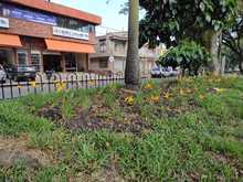 Dagma entrega varios separadores verdes a la ciudad