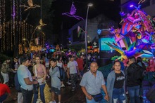 &iexcl;Alumbrado navide&ntilde;o de Cali sin&oacute;nimo de uni&oacute;n familiar, reactivaci&oacute;n econ&oacute;mica, cultura ciudadana y mucha alegr&iacute;a!