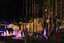 &iexcl;Alumbrado navide&ntilde;o de Cali sin&oacute;nimo de uni&oacute;n familiar, reactivaci&oacute;n econ&oacute;mica, cultura ciudadana y mucha alegr&iacute;a!