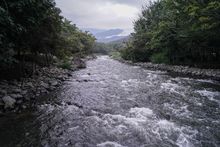 &lsquo;Parque Ambiental Coraz&oacute;n de Pance&rsquo; se proyecta como &uacute;nico en biodiversidad y procesos de aprendizaje