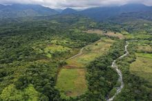 &lsquo;Parque Ambiental Coraz&oacute;n de Pance&rsquo; se proyecta como &uacute;nico en biodiversidad y procesos de aprendizaje