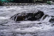 &lsquo;Parque Ambiental Coraz&oacute;n de Pance&rsquo; se proyecta como &uacute;nico en biodiversidad y procesos de aprendizaje