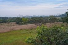 &lsquo;Parque Ambiental Coraz&oacute;n de Pance&rsquo; se proyecta como &uacute;nico en biodiversidad y procesos de aprendizaje