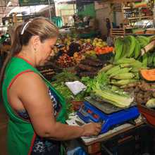 &iquest;C&oacute;mo reemplazar y conservar alimentos de la canasta familiar?