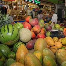 &iquest;C&oacute;mo reemplazar y conservar alimentos de la canasta familiar?
