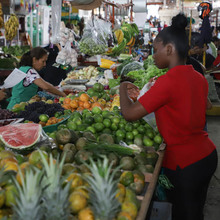 Alcald&iacute;a de Cali realiza seguimiento continuo a los precios de la canasta familiar