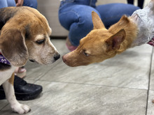 Un verdadero &lsquo;milagro&rsquo; de vida