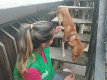 Un verdadero &lsquo;milagro&rsquo; de vida