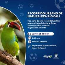 Disfruta de recorridos tur&iacute;sticos en el marco del Suramericano Sub20