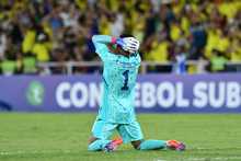 Colombia tuvo la mejor hinchada en su encuentro contra Brasil, en el Suramericano de F&uacute;tbol Sub20