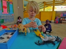 Ni&ntilde;as y ni&ntilde;os regresaron con entusiasmo y alegr&iacute;a a las ocho Unidades de Transformaci&oacute;n Social 