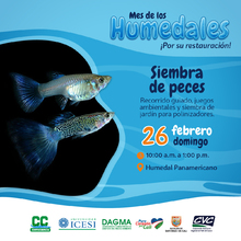 D&iacute;a Mundial de los Humedales: un 2023 por su restauraci&oacute;n