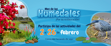 MesDeLosHumedales_Banner home