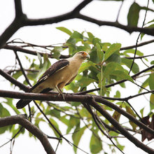 Dagma conmemora el &lsquo;D&iacute;a Mundial de los Humedales&rsquo;