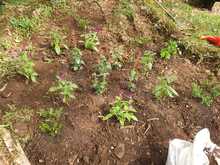 Dagma conmemora el &lsquo;D&iacute;a Mundial de los Humedales&rsquo;