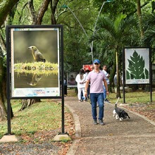 Las gatas de Tejada estrenan exposici&oacute;n fotogr&aacute;fica
