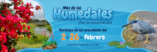 Mes de los humedales