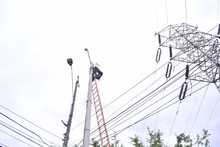 Administraci&oacute;n cale&ntilde;a invertir&aacute; cerca de $11 mil millones en c&aacute;maras de videovigilancia