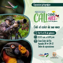 Disfrute del 1er encuentro Cali Ciudad de las Aves 