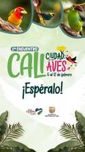 Disfrute del 1er encuentro Cali Ciudad de las Aves