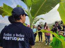 El &lsquo;Bosque de los Estudiantes&rsquo;: 7000 &aacute;rboles con pasi&oacute;n juvenil por Cali