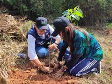 El &lsquo;Bosque de los Estudiantes&rsquo;: 7000 &aacute;rboles con pasi&oacute;n juvenil por Cali
