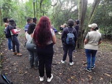 La naturaleza se disfruta en el 1er Encuentro Cali Ciudad de las Aves