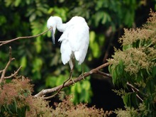 La naturaleza se disfruta en el 1er Encuentro Cali Ciudad de las Aves