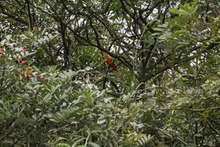 Becarios de Todas y Todos a Estudiar iniciaron la siembra de 7.000 &aacute;rboles en el Bosque de los Estudiantes