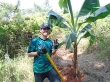Nace el Bosque de los Estudiantes con Todas y Todos a Estudiar 