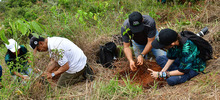 Un bosque sembrado por y para el futuro de Cali
