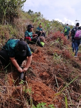 Con la siembra de 2576 &aacute;rboles avanza El Bosque de los Estudiantes