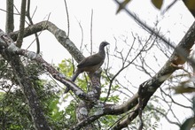 Ecoparque Batacl&aacute;n: la Sucursal del Cielo para las aves
