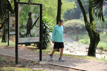 Exposición fotográfica #CorazónDelRíoCali  