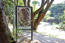 Exposición fotográfica #CorazónDelRíoCali  