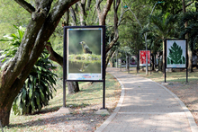 Exposición fotográfica #CorazónDelRíoCali  