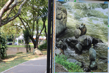 Exposición fotográfica #CorazónDelRíoCali  