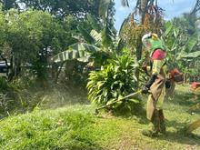 Alcald&iacute;a recuper&oacute; punto impactado por residuos en el oriente de Cali  