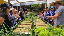 Este a&ntilde;o, se fortalecer&aacute;n 100 huertas m&aacute;s en los comedores comunitarios 