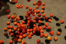 &lsquo;Orika&rsquo;, el primer sal&oacute;n de artes visuales del Festival Petronio &Aacute;lvarez