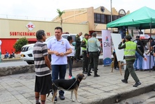 &ldquo;Si por la Calle 15 vas pasando&hellip; Un entorno limpio vas hallando&rdquo;