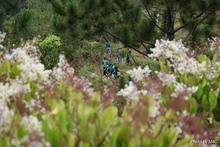 Contin&uacute;a la conformaci&oacute;n del Bosque de los Estudiantes