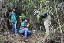 Contin&uacute;a la conformaci&oacute;n del Bosque de los Estudiantes