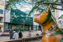 Cali estar&aacute; presente en ANATO, la vitrina tur&iacute;stica m&aacute;s importante del pa&iacute;s